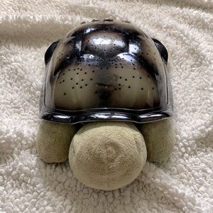 Turtle night light